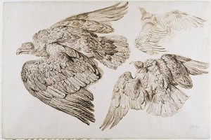 Eagles